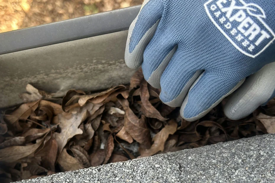 Gutter Cleaning Avondale