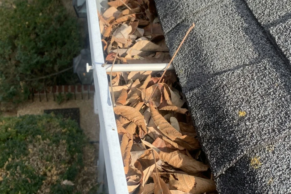 Gutter Cleaning Avondale