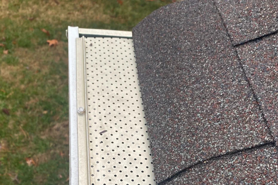 Gutter Cleaning Avondale