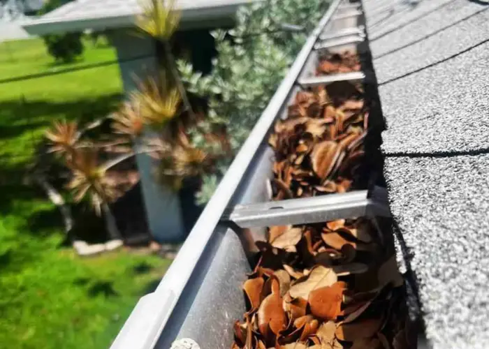 Gutter Cleaning Avondale home page